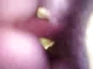 Bird Fucker - me fucking some random bird | xHamster