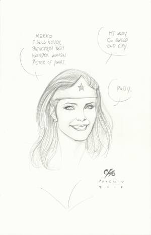 Lynda Carter Nude Pussy - Lynda Carter Wonder Woman by Frank Cho, in Mark Schweikert's Frank Cho  Comic Art Gallery Room
