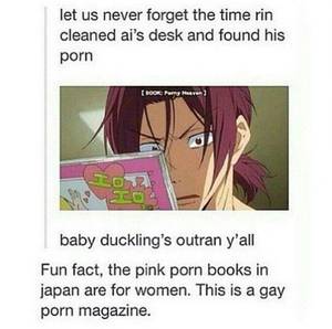 Japanese Anime Porn Books - Wtf Japan do you literally have to say this porn is for women and this for  men? It's fucking porn... just let everyone watch whatever they want to ;-;