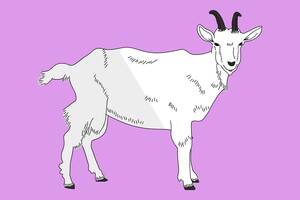 Goat Chicken Porn - 47 Goat Puns That Aren't So Baaaaaaaad (If You've Goat The Time) | Thought  Catalog