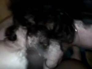 Hamster Bbw Fuck - Bbw Xhamster Peeing Ppublic Free Sex Videos - Watch Beautiful and Exciting  Bbw Xhamster Peeing Ppublic Porn at anybunny.com