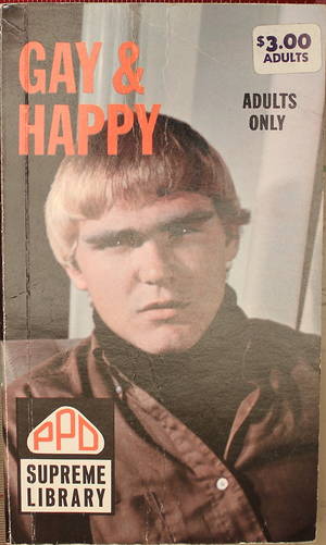 60s Mod Porn - the 80s the 70s the 60s the 50s pulp fiction gay!gay!gay!