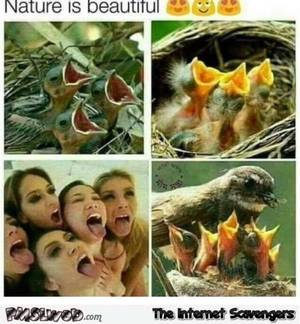Beautiful Nature Porn - Nature is beautiful funny porn meme