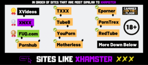 Hamster Porn Site More - The Best Alternative To xHamster