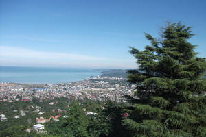 Blonde Amateur German Teenmodelsporn - Batumi Europe Square: