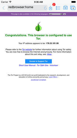 Darknet Forbidden Porn Chan - Screenshots