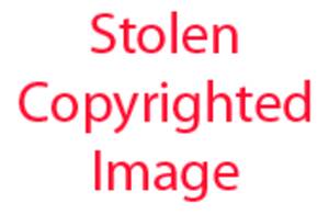 Jada Stevens Porn Pros Pov - Jada Stevens munching and bumping on a huge dick in a hard pov action @  PornPROS