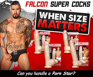Bi Sexual Toys - Buy Falcon Male Sex Toys online