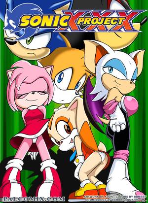 Amy Rose Shower Comic Porn - Sonic XXX Project porn comic - the best cartoon porn comics, Rule 34 |  MULT34