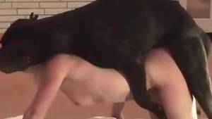 Brutal Bestiality Porn - Animal Creampie - Zoophilia website with tons of bestiality porn videos