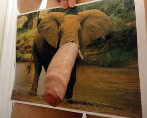 elephant huge cock - Uncut Elephant Cock â‹† Dickshots.com - Gay amateur dick pics.