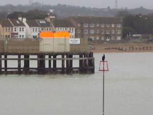 5up Porn Toddler - I don't know what this is.