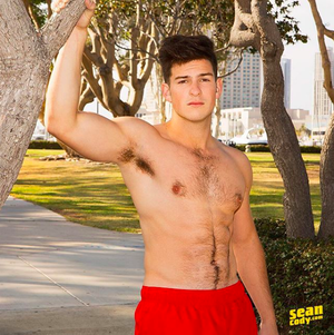 Best Gay Porn Star - The 18 Hottest Gay Porn Stars to Follow on Instagram