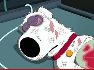 Brian Griffin Family Guy Porn - Family Guy' -- BRIAN GRIFFIN DIES