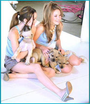 Billy Ray Cyrus Fucking Miley - miley emily