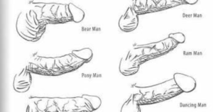 All Shapes Dicks Porn - Girls, Which penis shape feels the best? - Sexuality