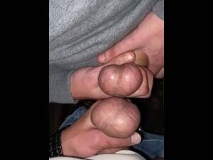 balls - Camping and Comparing Balls - Pornhub.com