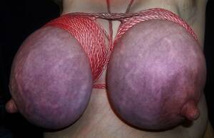 Huge Purple Tied Tits - Purple Tied Tits Tumblr - XXGASM