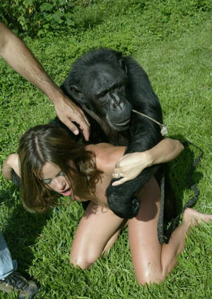 Girl Monkey Porn - Given] women who love to monkey: (20 images) - Porn Image