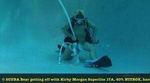 Diving Bear Porn - Diving Bear Porn | Sex Pictures Pass