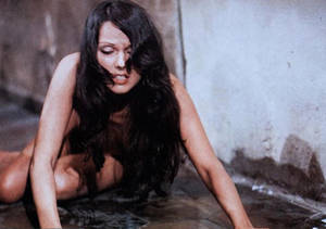 Bizarre Human Sex Rough - â€œSalÃ² ...