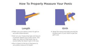 Average Penis Size Porn Star - Comparing The Average Penis Size And Pornstar Penis Size [2023]