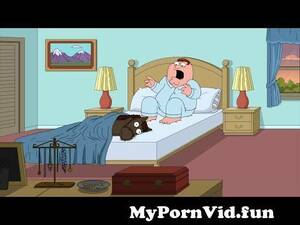 Booty Cartoon Porn Family Guy - Family Guy - \\\