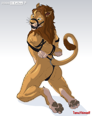 Lion Furry Porn Bondage - Rule 34 - 1boy anthro bondage exiles feline fur furry lion male male only  nude solo tamu | 613654