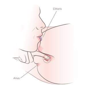 clit sucking techniques - How To Eat Pussy Like A God: 34 Cunnilingus Tips To Make Her Addicted