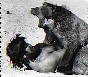 Baboon Fucks Woman - Baboon Fucks Woman | Sex Pictures Pass