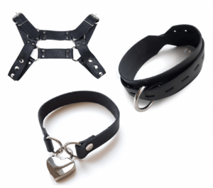 Dog Collar Leash Bondage Forced Lesbian Porn - Puppy Love: A Beginner's Guide to Pup Play & Gear - Tabooless