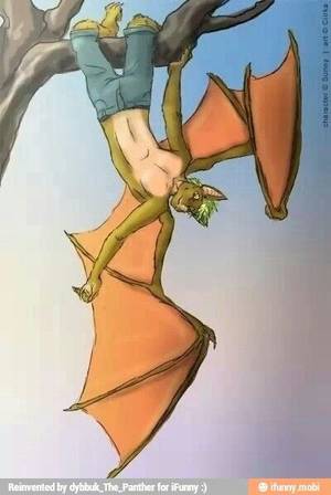 Anime Furry Bat Porn - Bat furry