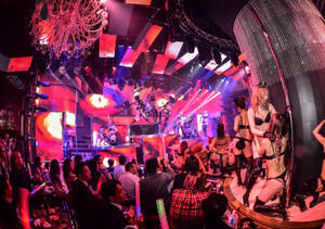 Burlesque Japanese Porn - BURLESQUE TOKYO â€“ The Ultimate Japan NightLife Directory â€“ LetsGoOut