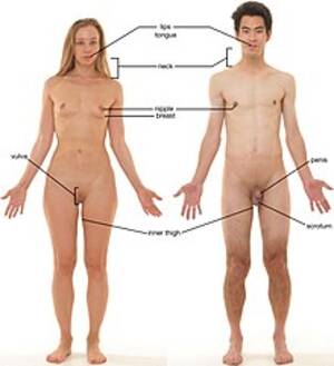naked sleeping lesbian - Sexual stimulation - Wikipedia