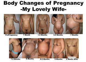 hot nude pregnant progression - Naked Pregnant Profile | Sex Pictures Pass