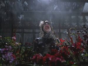 Michelle Pfeiffer Catwoman Porn - Michelle Pfeiffer as \