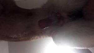 Hard Hot Porn Moving - 3D zoophile porn movie with cock riding and more