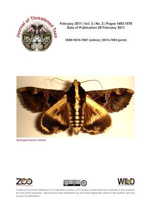 Crimson Hawk Moth Porn - Crimson Hawk Moth Porn | Sex Pictures Pass