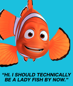 Finding Nemo Porn Female - The Truth Behind \