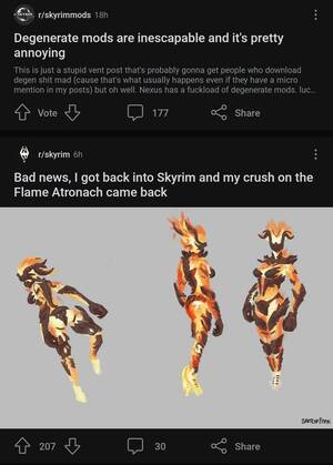 Elder Scrolls Flame Atronach Porn - The Duality of Skyrim Players : r/ElderScrolls