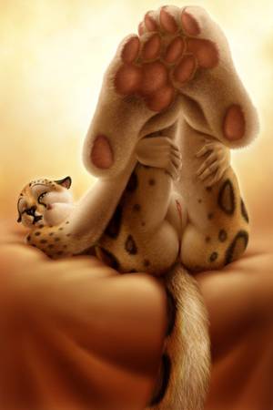 Anatomically Correct Fox Pussy - #352526: hotwert, jocarra - e621