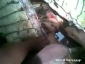 Man Fucks Female Alligator - Crocodile Happy Meal