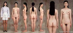asian girls nude line up - Realistic Nude Women - Ideal Proportion - Joshua Nava Arts