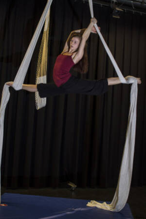 Aerial Silk Trapeze Porn - Aerial Silk Porn Photo Pics