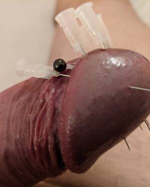 Cock Fetish Porn - Cock Head Piercing Needle Fetish CBT Porn Pictures, XXX Photos, Sex Images  #4033481 - PICTOA
