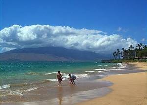 Kahului And Kihei Hawaii Porn - Stay at Our Maui Banyan Condo in Kihei, Across From Kamaole Beach II The  Ideal