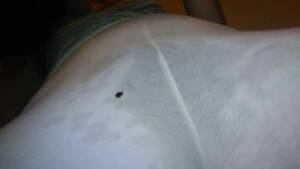 Full Length Hairy Pussy Porn - Think Anyone Will Notice WET HAIRY PUSSY? ** FREE FULL LENGTH VIDEO**  Content Now @ ManyVids OF - VÃ­deos Pornos Gratuitos - YouPorn