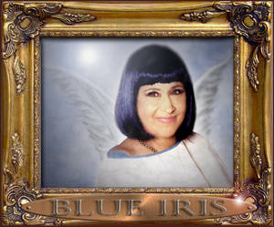 Blue Iris Howard Stern Star - Blue+Iris