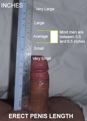 cock size - very small | MOTHERLESS.COM â„¢