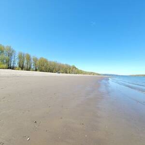 naked at nude beach oregon - SAUVIE ISLAND NUDE BEACH - Updated March 2024 - 76 Photos & 38 Reviews -  Portland, Oregon - Beaches - Yelp